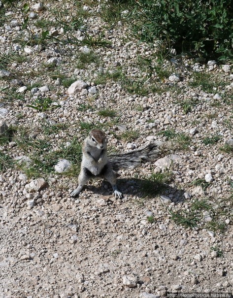 Намибийские пейзажи. Ч.5 Дамараленд