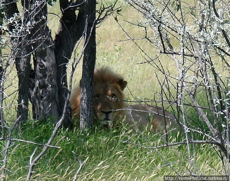 Намибийские пейзажи. Ч.5 Дамараленд
