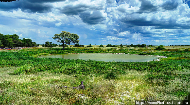 Намибийские пейзажи. Ч.5 Дамараленд