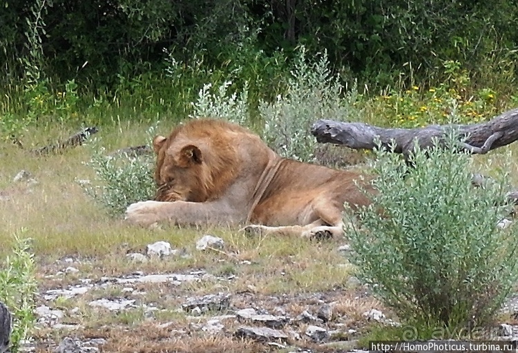 Намибийские пейзажи. Ч.5 Дамараленд