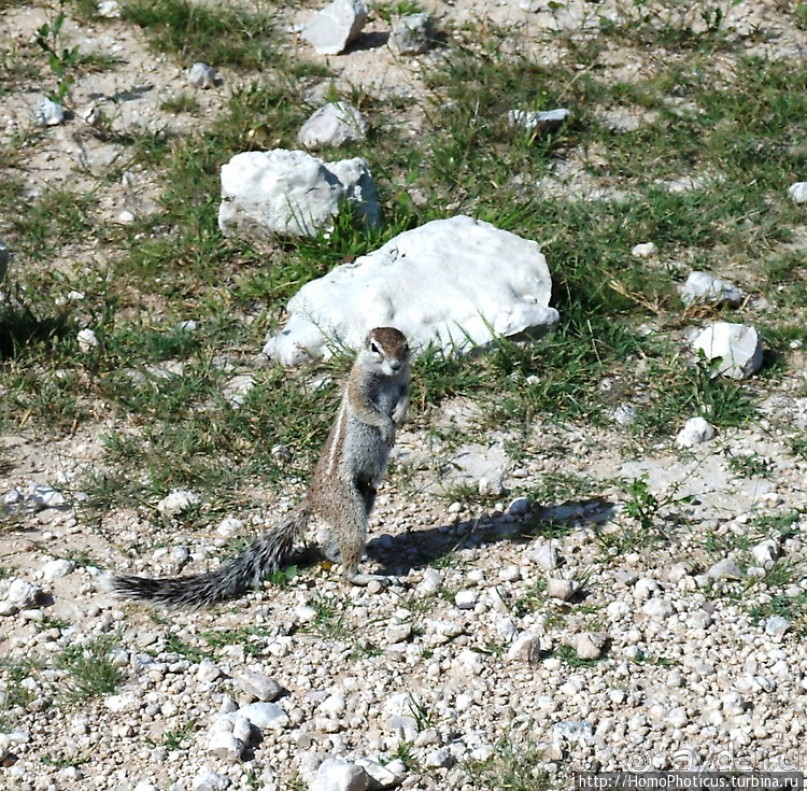 Намибийские пейзажи. Ч.5 Дамараленд