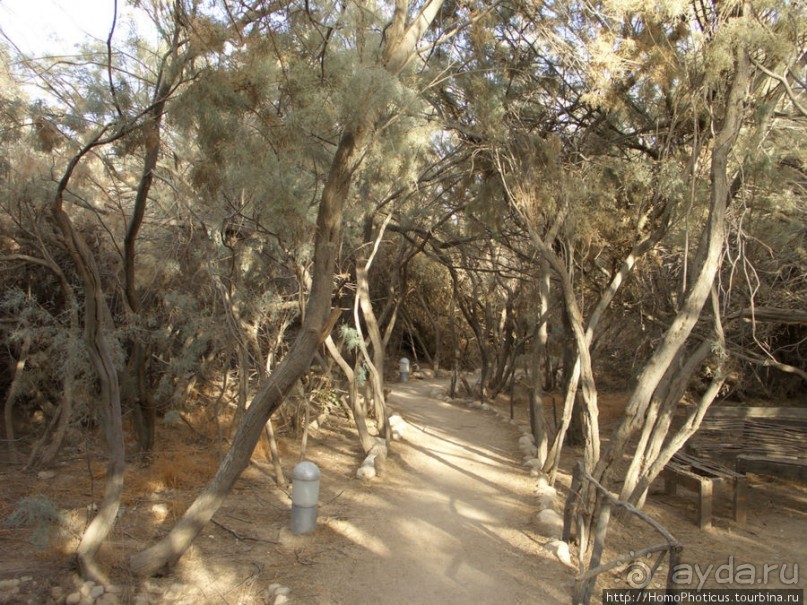 Место самого главного Крещения и Мертвое море