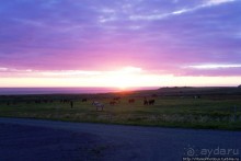 Северное побережье: фаллосы и снежные мысы