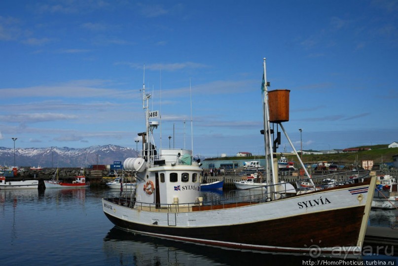 Северное побережье: фаллосы и снежные мысы