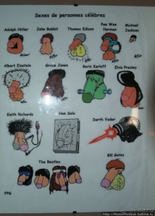 Северное побережье: фаллосы и снежные мысы