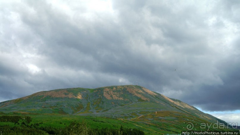 Северное побережье: фаллосы и снежные мысы