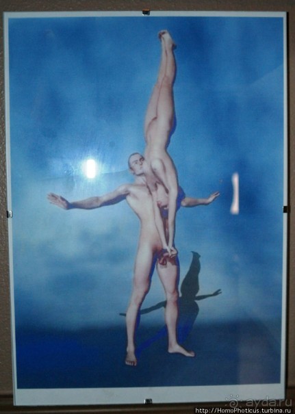 Северное побережье: фаллосы и снежные мысы