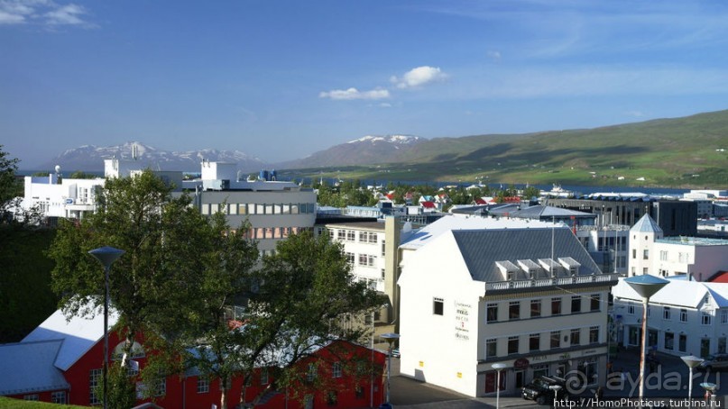 Северное побережье: фаллосы и снежные мысы