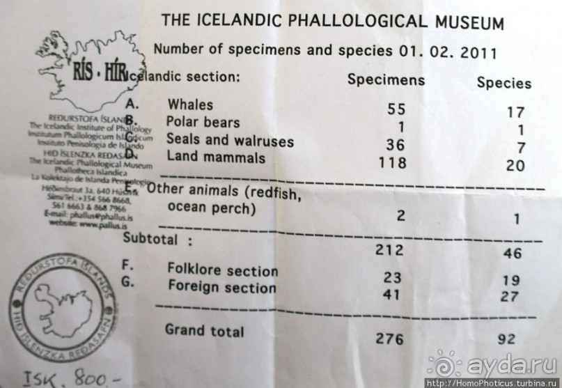 Северное побережье: фаллосы и снежные мысы