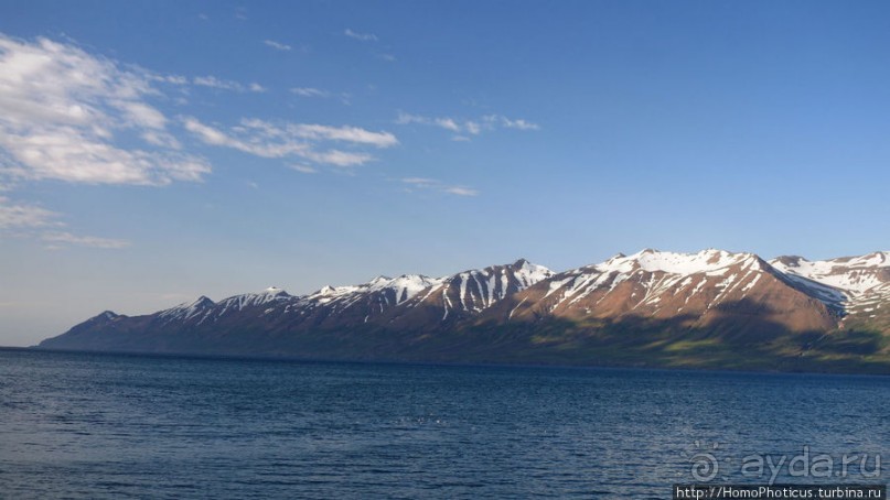 Северное побережье: фаллосы и снежные мысы