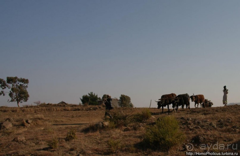 В гостях у африканских троглодитов