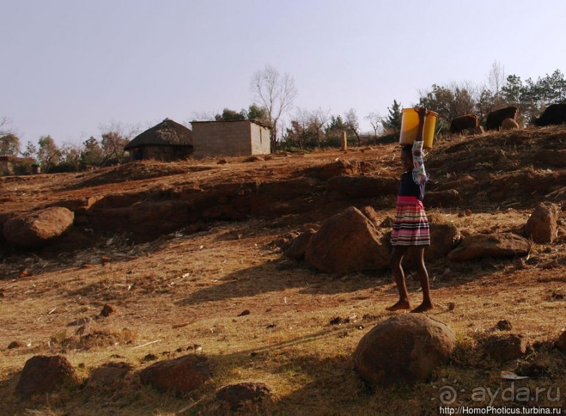 В гостях у африканских троглодитов