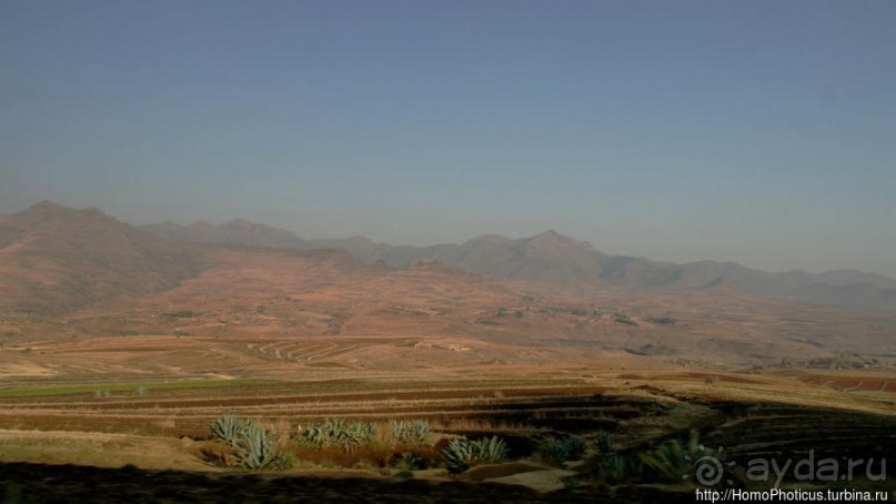 В гостях у африканских троглодитов