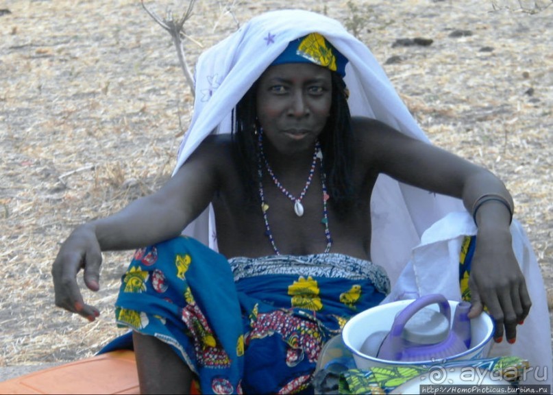 Типажи фульбе