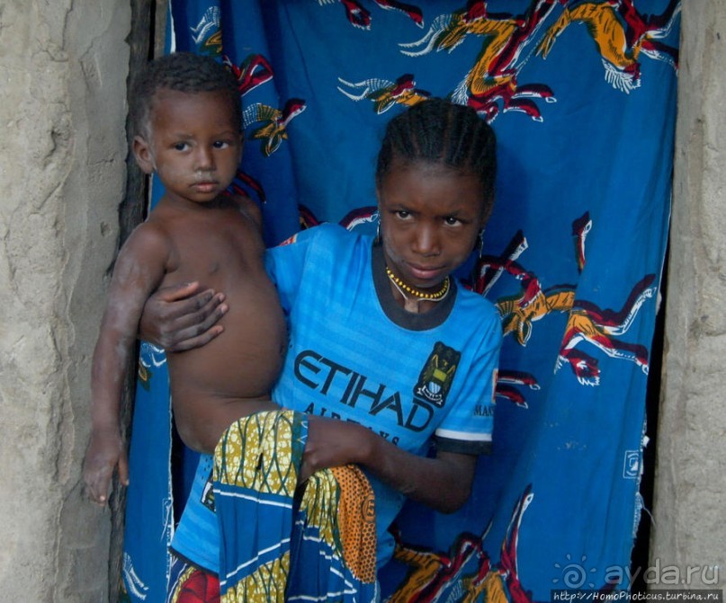 Типажи фульбе