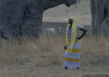 Типажи фульбе