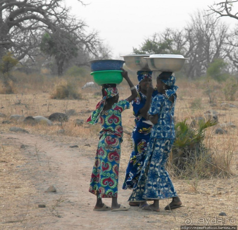 Типажи фульбе