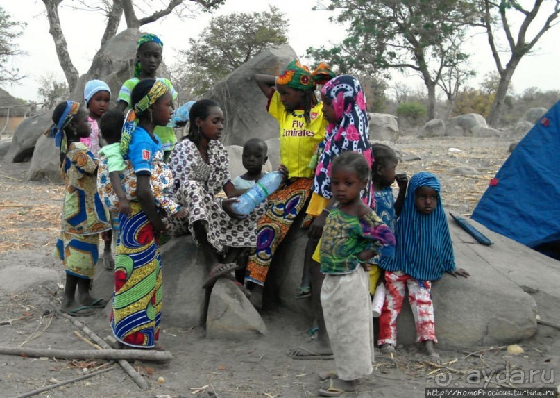 Типажи фульбе