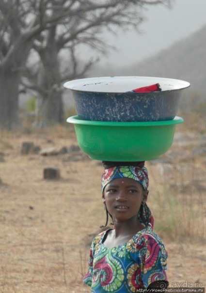 Типажи фульбе