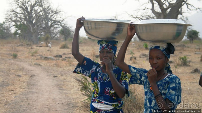 Типажи фульбе