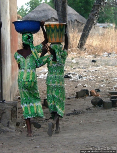 Типажи фульбе