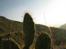 Вотчина королевы Арвы