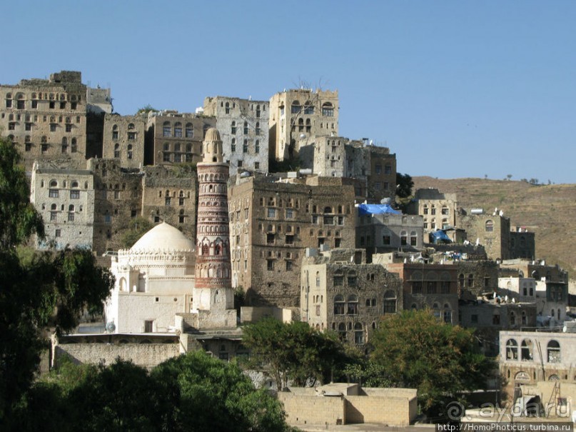 Вотчина королевы Арвы