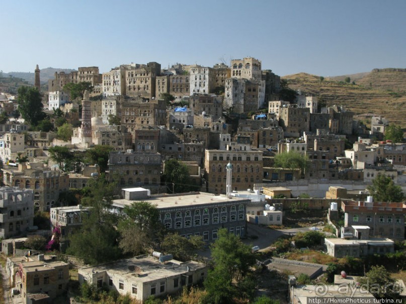 Вотчина королевы Арвы