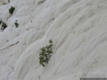 Альбом отзыва "Хлопковый замок"