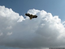 Южная Сокотра: белый Аумак, мокрая Дахуб, огромные останцы