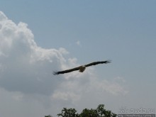 Южная Сокотра: белый Аумак, мокрая Дахуб, огромные останцы