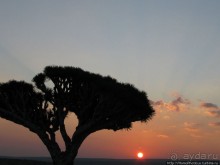 Южная Сокотра: белый Аумак, мокрая Дахуб, огромные останцы