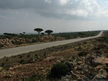 Южная Сокотра: белый Аумак, мокрая Дахуб, огромные останцы