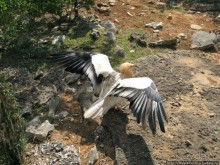 Южная Сокотра: белый Аумак, мокрая Дахуб, огромные останцы