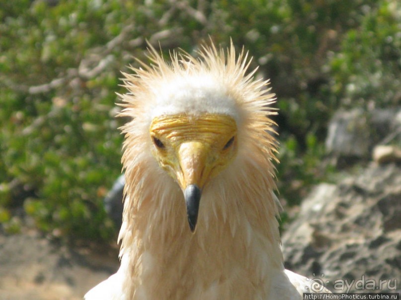 Южная Сокотра: белый Аумак, мокрая Дахуб, огромные останцы