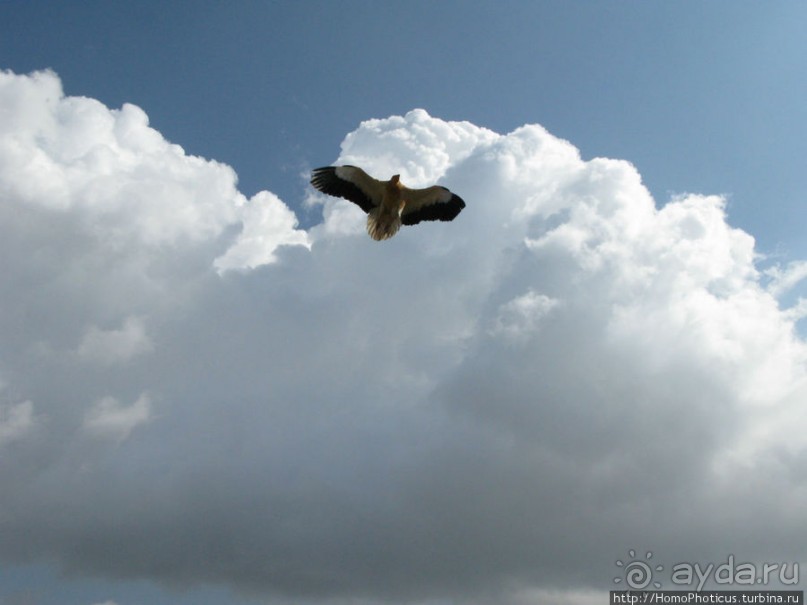 Южная Сокотра: белый Аумак, мокрая Дахуб, огромные останцы