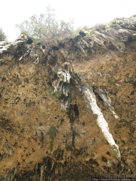 Южная Сокотра: белый Аумак, мокрая Дахуб, огромные останцы