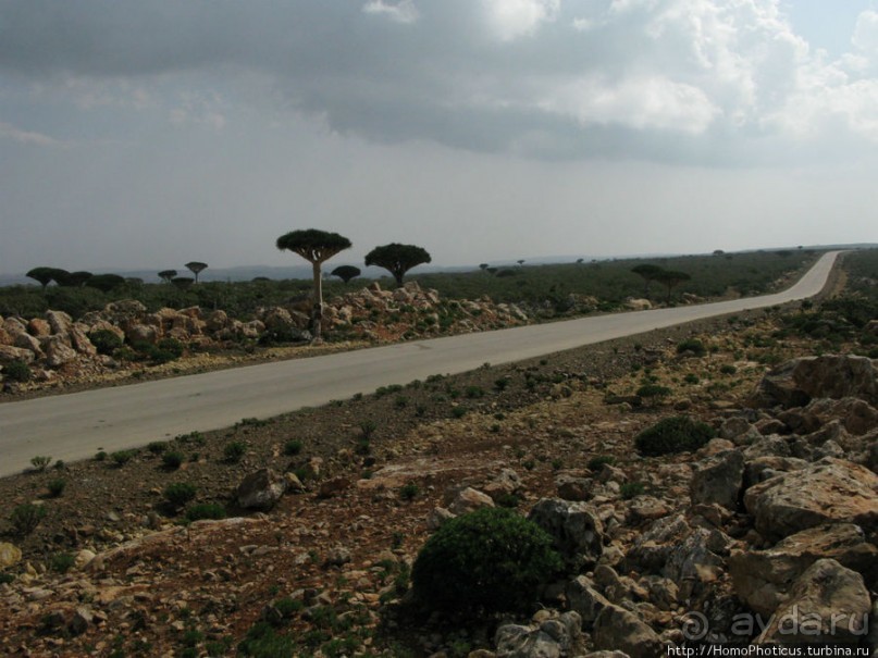 Южная Сокотра: белый Аумак, мокрая Дахуб, огромные останцы