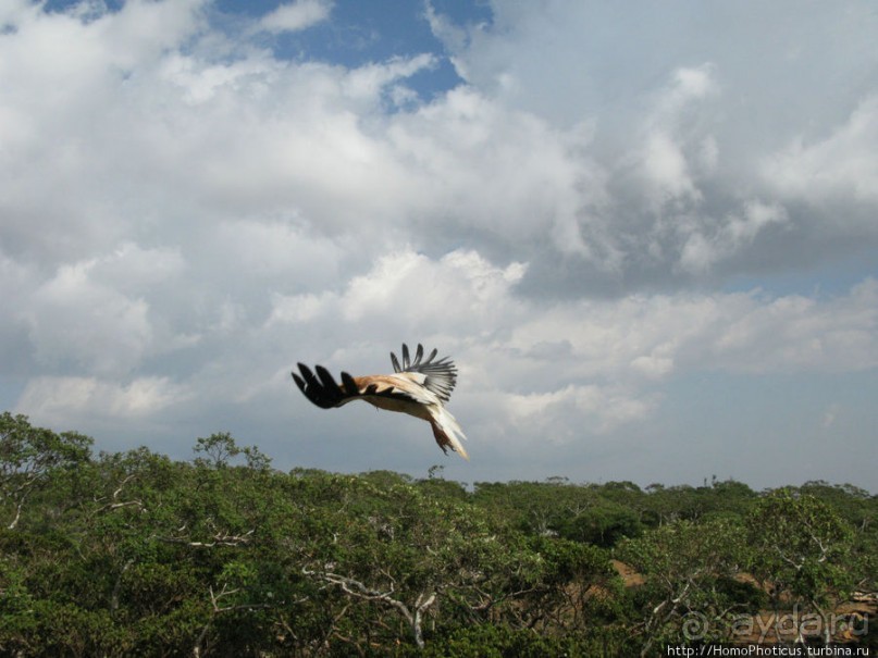 Южная Сокотра: белый Аумак, мокрая Дахуб, огромные останцы