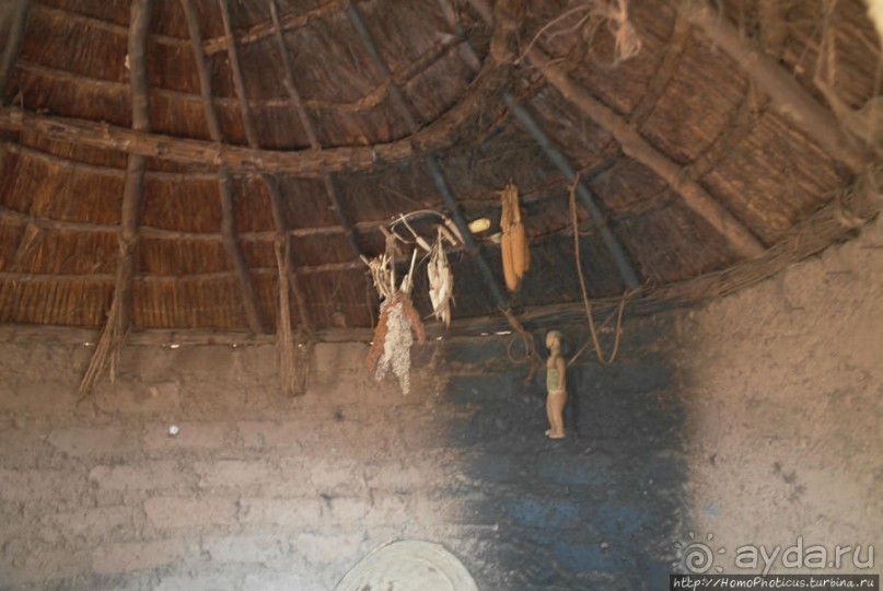 Второе знакомство с довайо. Анимисты