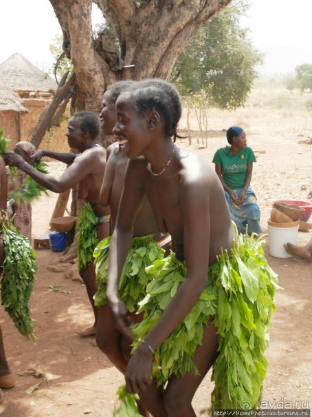 Второе знакомство с довайо. Анимисты