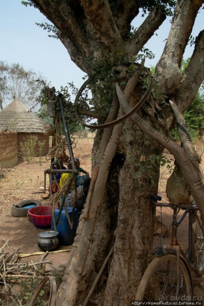 Второе знакомство с довайо. Анимисты