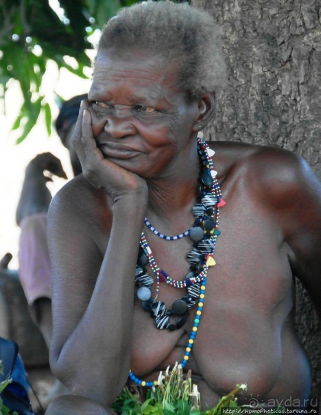 Второе знакомство с довайо. Анимисты