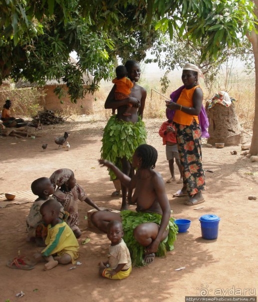 Второе знакомство с довайо. Анимисты