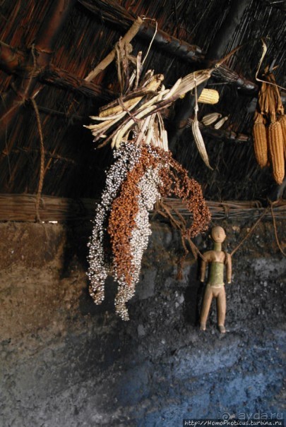 Второе знакомство с довайо. Анимисты