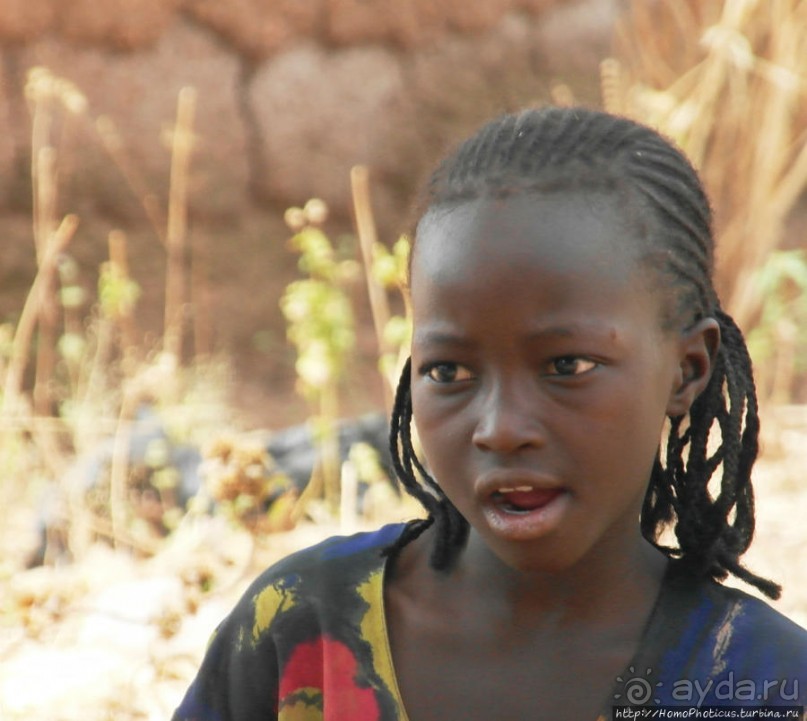 Второе знакомство с довайо. Анимисты