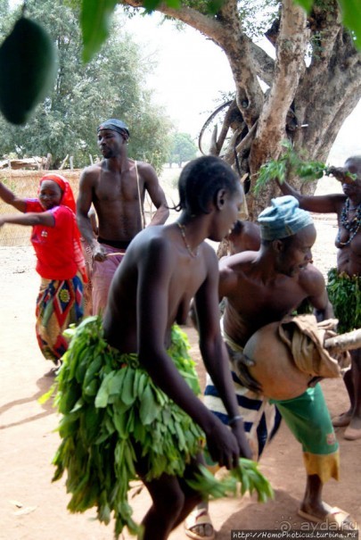 Второе знакомство с довайо. Анимисты