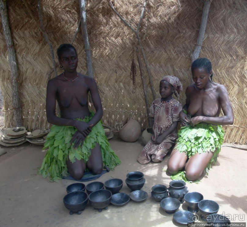 Второе знакомство с довайо. Анимисты