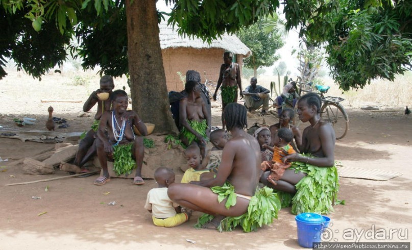 Второе знакомство с довайо. Анимисты