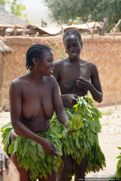 Второе знакомство с довайо. Анимисты